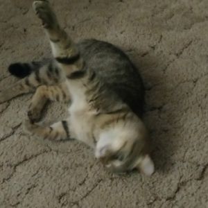 Meet your Posher, Xavier